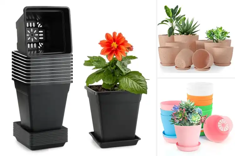 Detailed view of Best 10-Pack Small Planter Capacity