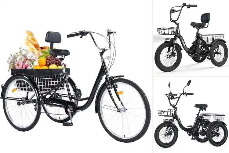 Detailed view of Best Adult Tricycle Comfort Performance
