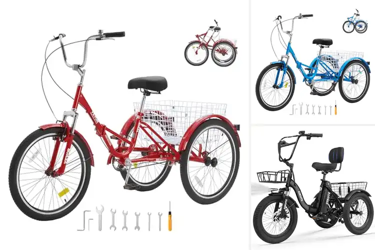 Detailed view of Best Adult Tricycles For Seniors