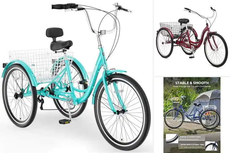 Detailed view of Best Adult Tricycles