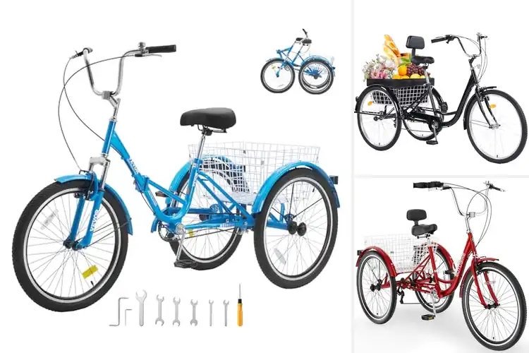 Detailed view of Best Adult Trikes