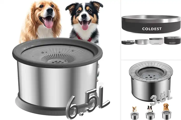 Detailed view of Best Anti Slip Dog Water Bowls