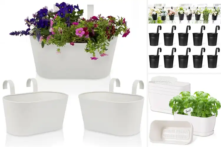 Detailed view of Best Balcony Garden Planter Sets