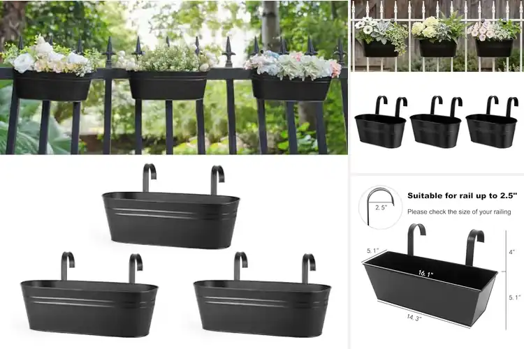 Detailed view of Best Balcony Planters