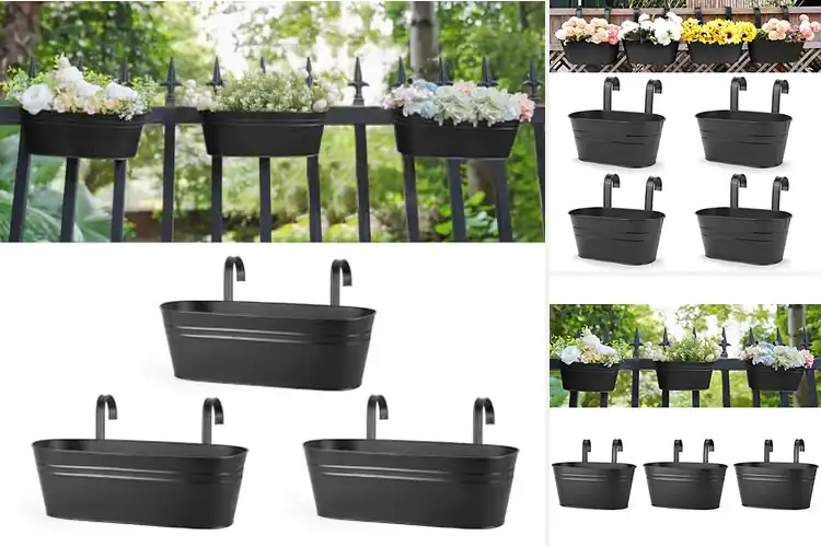 Detailed view of Best Balcony Pots
