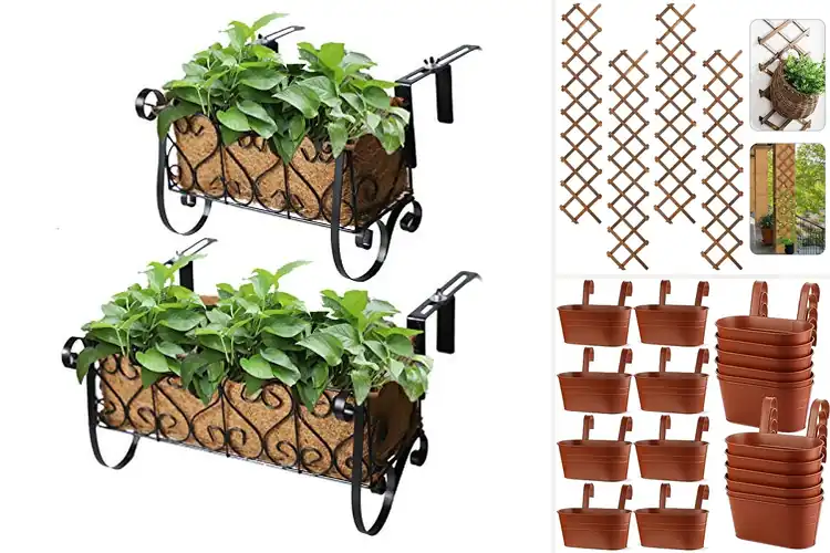 Detailed view of Best Balcony Rail Garden Display