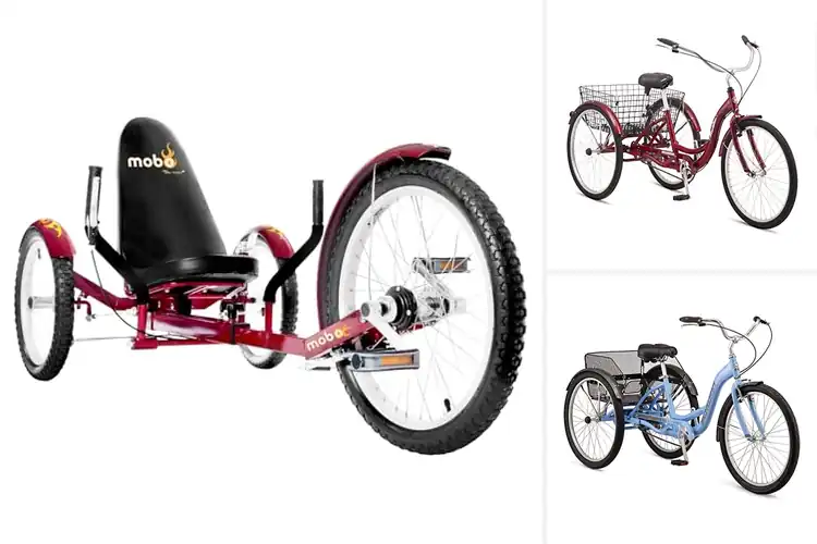Detailed view of Best Beach Cruiser Tricycles: Top 10 Smooth & Stable Rides