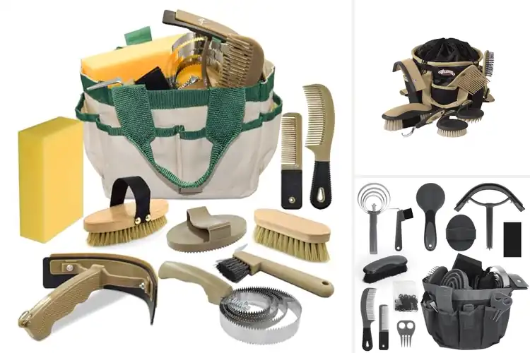 Detailed view of Best Beginner Horse Care Kits