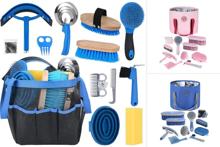 Detailed view of Best Beginner Horse Care Sets : Grooming Made Easy