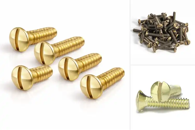 Detailed view of Best Brass Switch Plate Screw Brass Finish