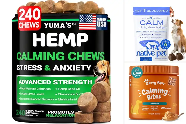 Detailed view of Best Calming Chews For Dogs: 10 Natural Relaxation Picks