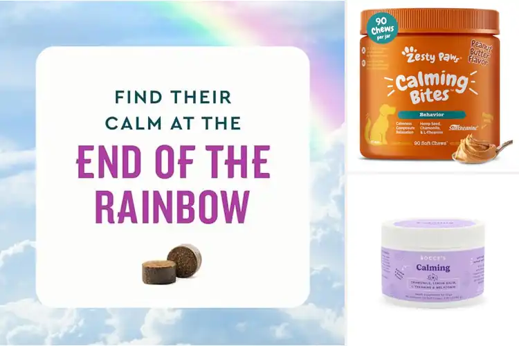 Detailed view of Best Calming Chews: Top 10 Natural Relaxation Picks for Pets