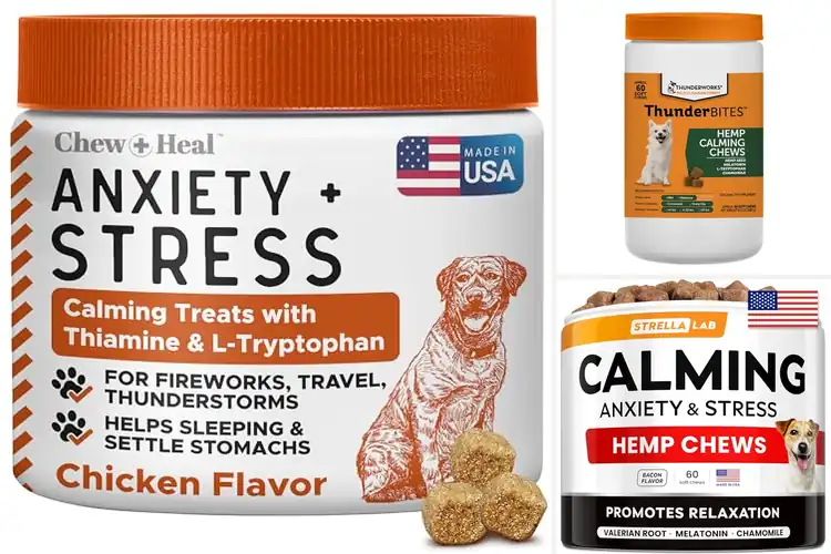 Detailed view of Best Calming Treats For Storms