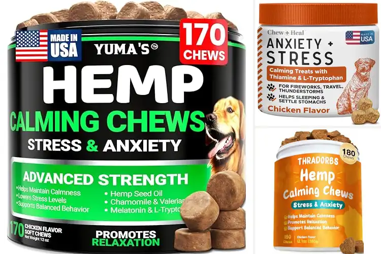 Detailed view of Best Calming Treats For Thunderstorms