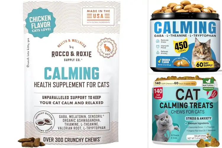 Detailed view of Best Calming Treats For Travel