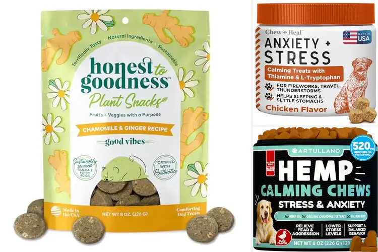 Detailed view of Best Calming Treats With Ginger Chamomile