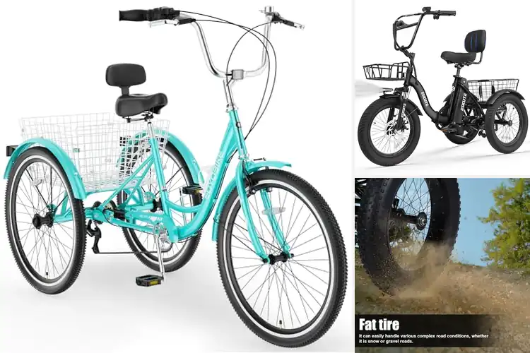 Detailed view of Best Comfort Tricycle For Adults