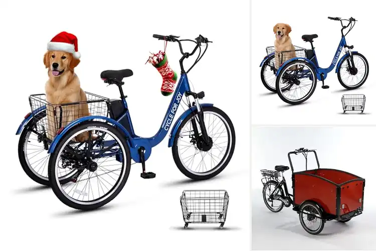 Detailed view of Best Commuter Trikes: Top 10 Picks for Stability & Comfort