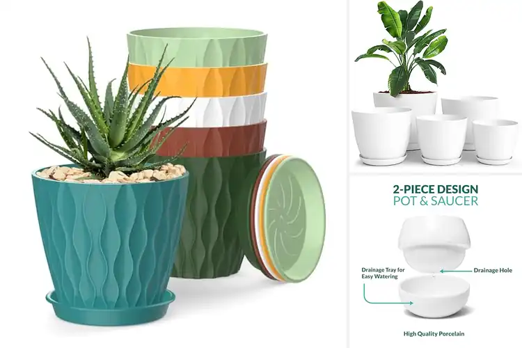 Detailed view of Best Compact Planter For Small Plants
