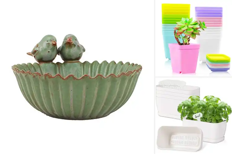 Detailed view of Best Compact Planters