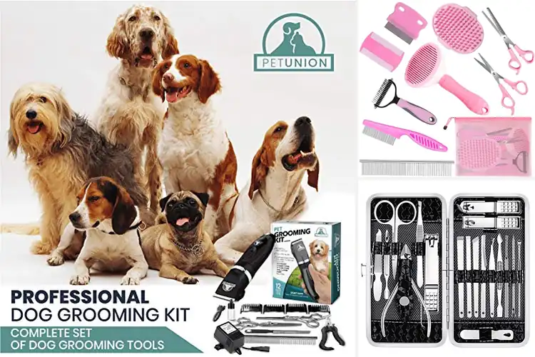 Detailed view of Best Complete Grooming Sets