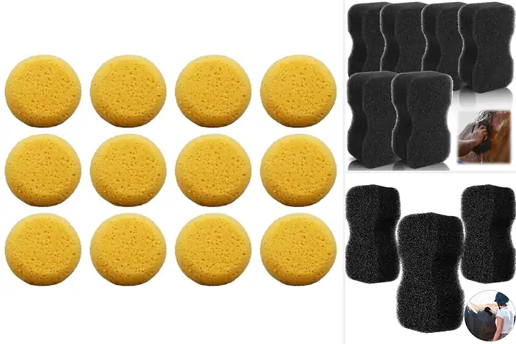 Detailed view of Best Compressed Horse Sponges