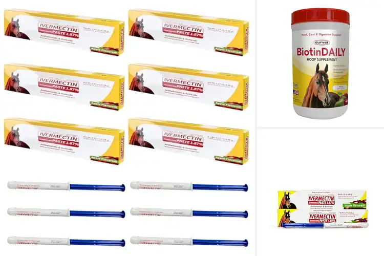 Detailed view of Best Daily Care For Horses