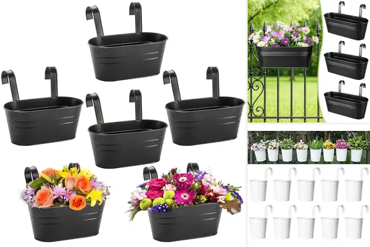 Detailed view of Best Detachable Hook Planters