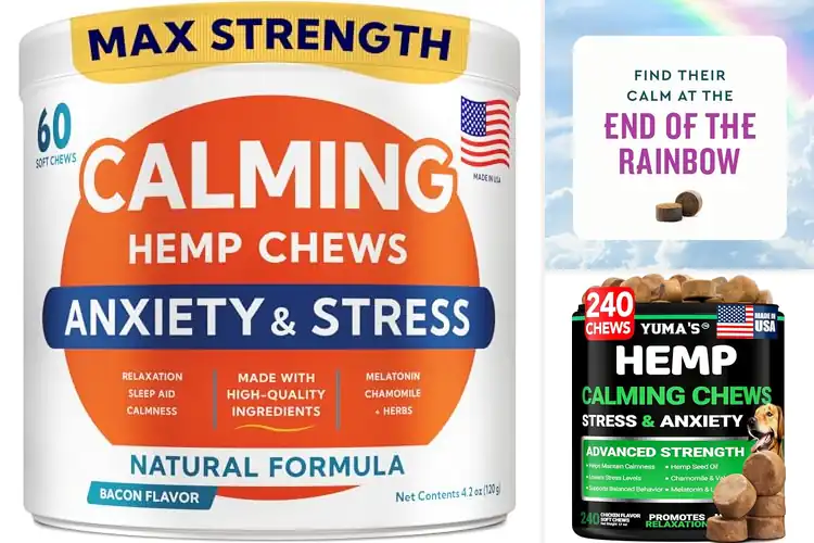 Detailed view of Best Dog Calming Chews: 10 Natural Picks for a Relaxed Pup