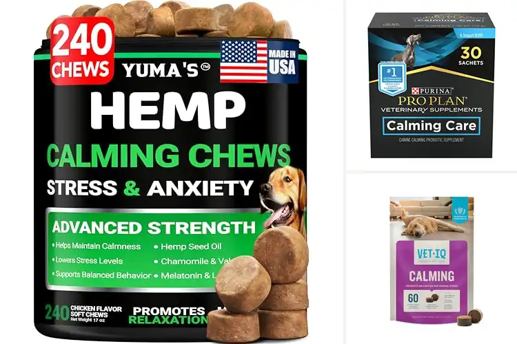 Detailed view of Best Dog Calming Supplements