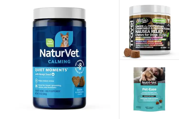 Detailed view of Best Dog Chews For Motion Sickness: Top 10 Natural Remedies