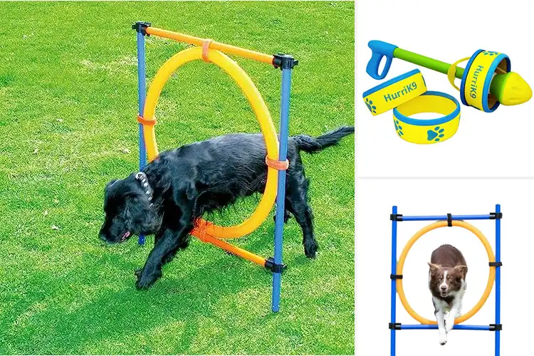 Detailed view of Best Dog Exercise Rings: Top 7 Picks for Active, Healthy Fun