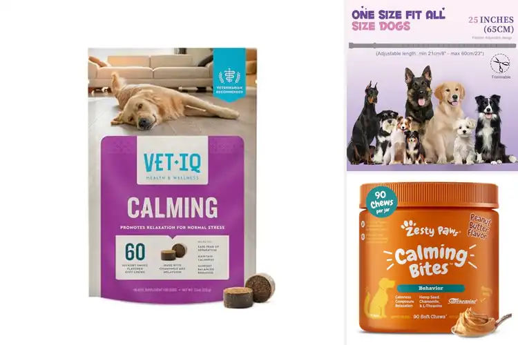 Detailed view of Best Dog Relaxation Products