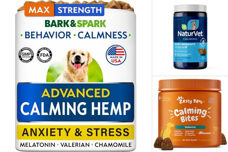 Detailed view of Best Dog Stress Relief Chews