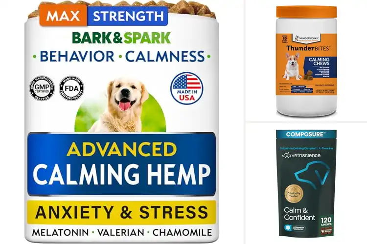 Detailed view of Best Dog Thunderstorm Relief Chews: Top 10 Calming Solutions