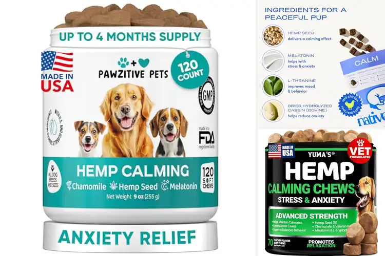 Detailed view of Best Dog Travel Calming Chews