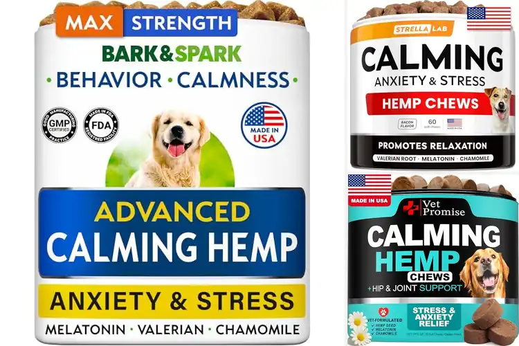 Detailed view of Best Dog Treats For Separation Anxiety