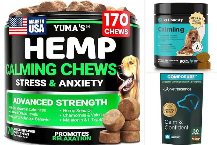 Detailed view of Best Dog Treats For Thunderstorms: Calm Your Pup Naturally