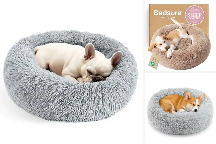 Detailed view of Best Donut Beds For Small Pets: Top 10 Cozy & Supportive