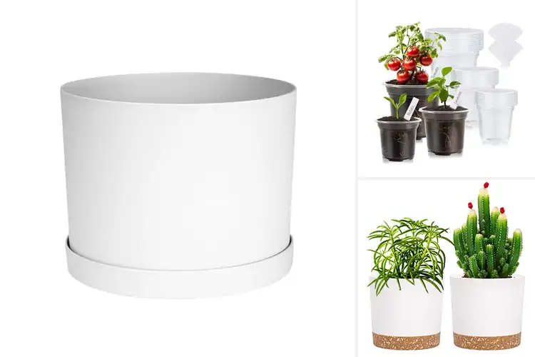 Detailed view of Best Drainage Hole Planters: Top 10 Picks for Healthy Plants