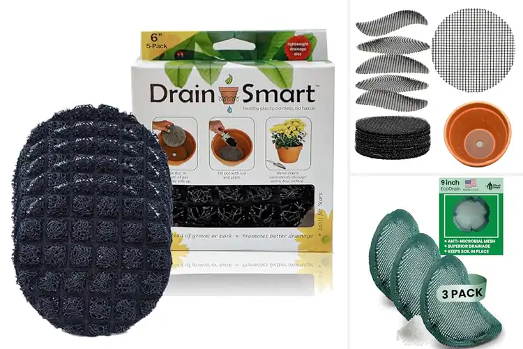 Detailed view of Best Drainage Planter For Prevent Overwatering