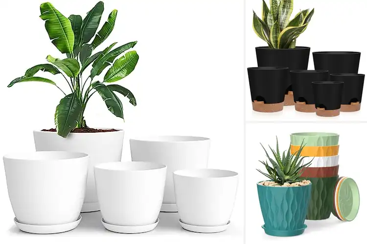 Detailed view of Best Drainage Planters