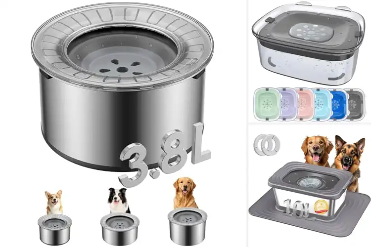 Detailed view of Best Drip Free Dog Water Bowls