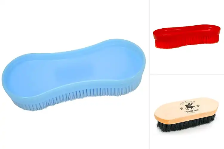 Detailed view of Best Durable Horse Brushes