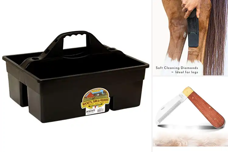 Detailed view of Best Durable Horse Grooming Tools