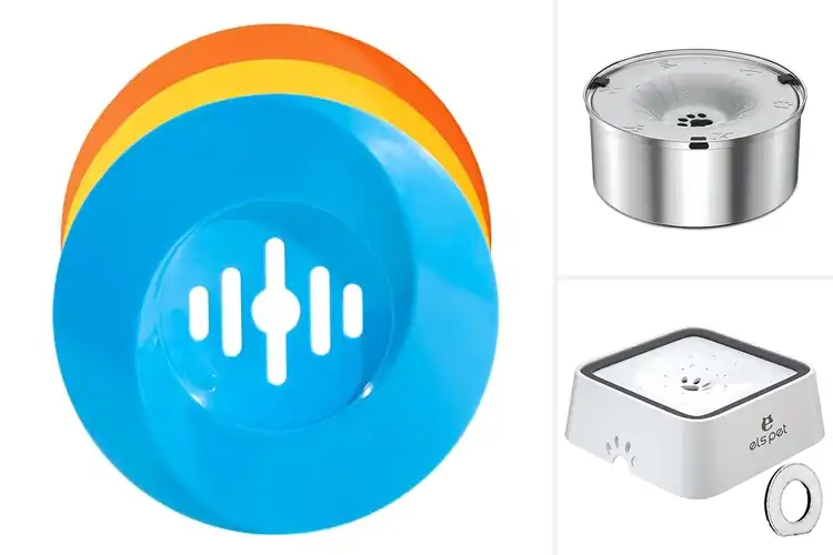 Detailed view of Best Easy Clean Floating Disk Bowls