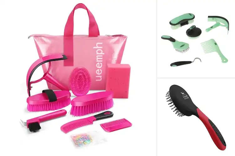 Detailed view of Best Equestrian Grooming Essentials