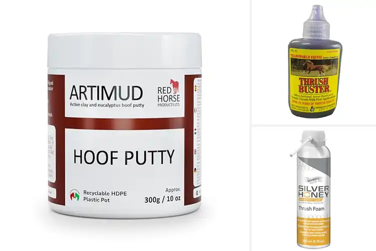 Detailed view of Best Equine Care Products