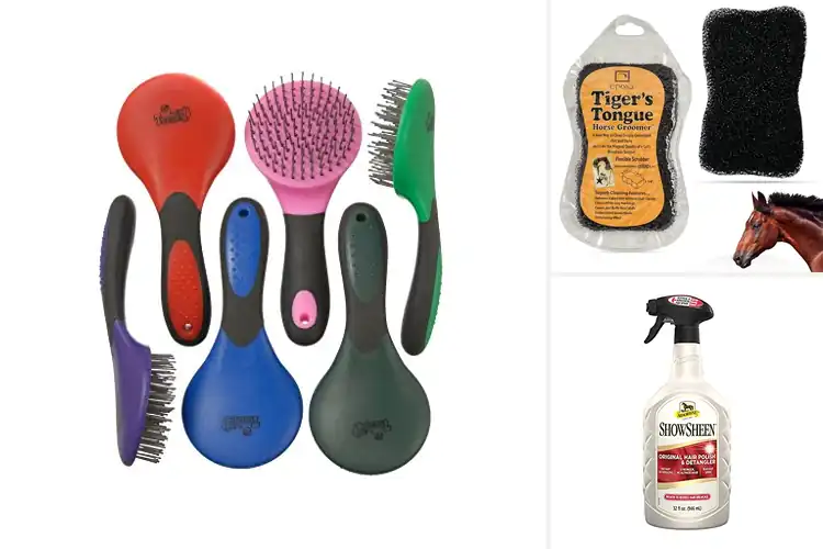 Detailed view of Best Equine Grooming Supplies for a Healthier, Happier Horse