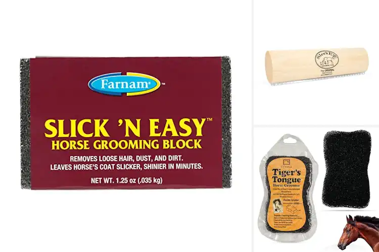 Detailed view of Best Equine Grooming Tools